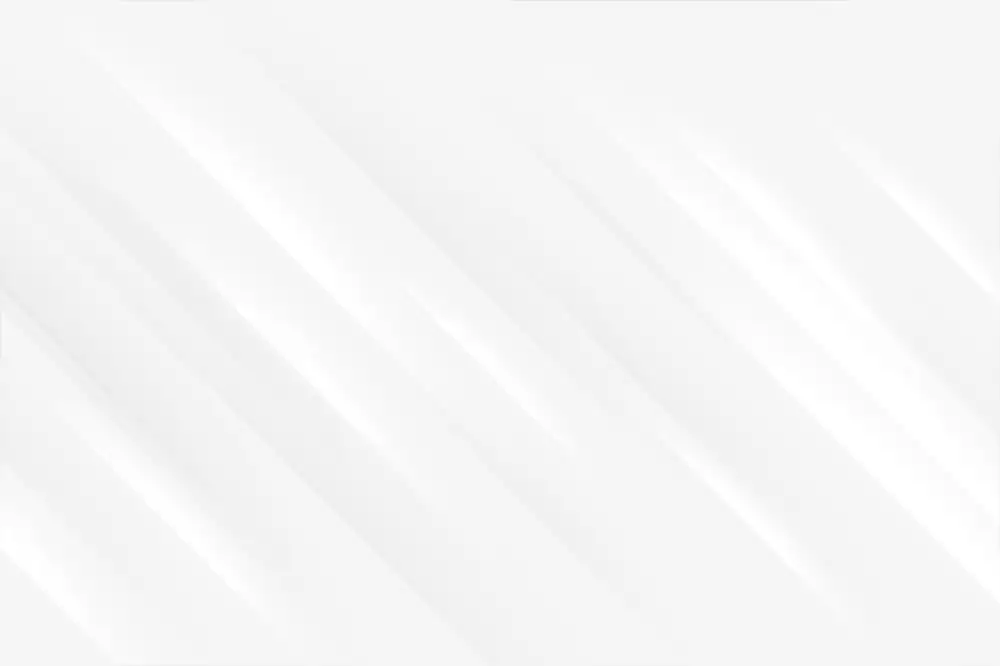 maneskin koncerty 2025